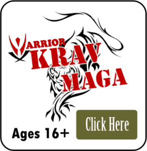 MBR- Krav Maga Icon